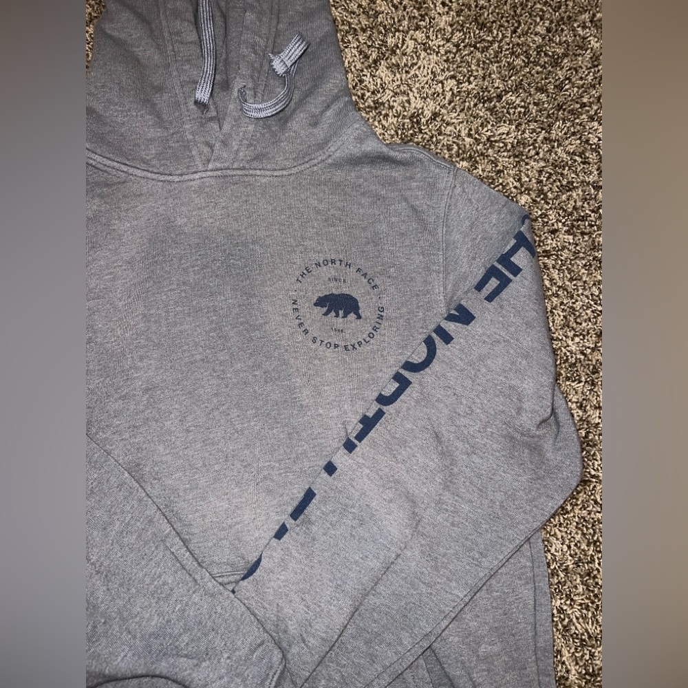 The North Face Men’s Bearscape Hoodie Size Small - Picture 3 of 7
